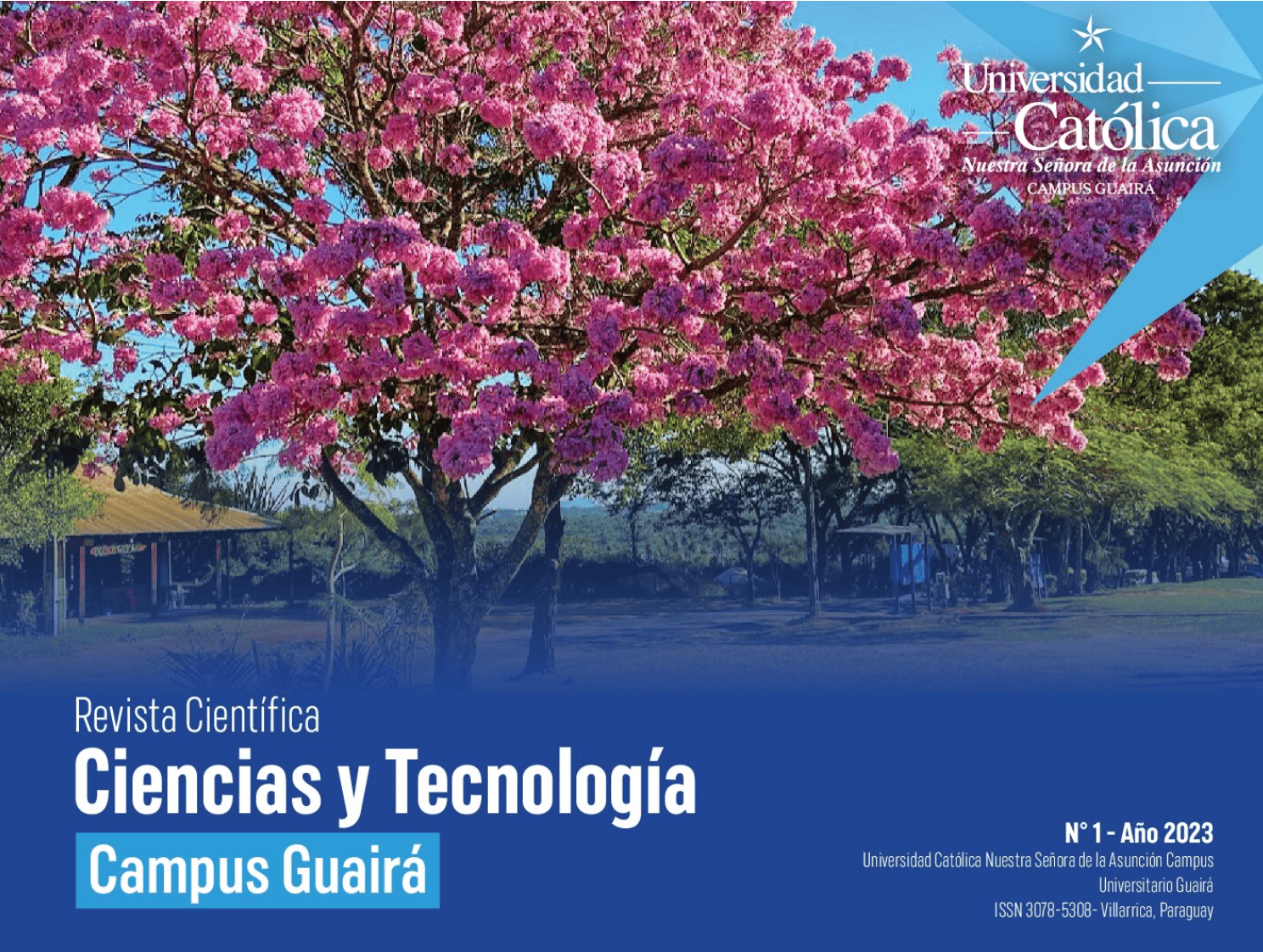 					Ver Núm. 1 (2023): Revista Cient´ífica Ciencias y Tecnología
				