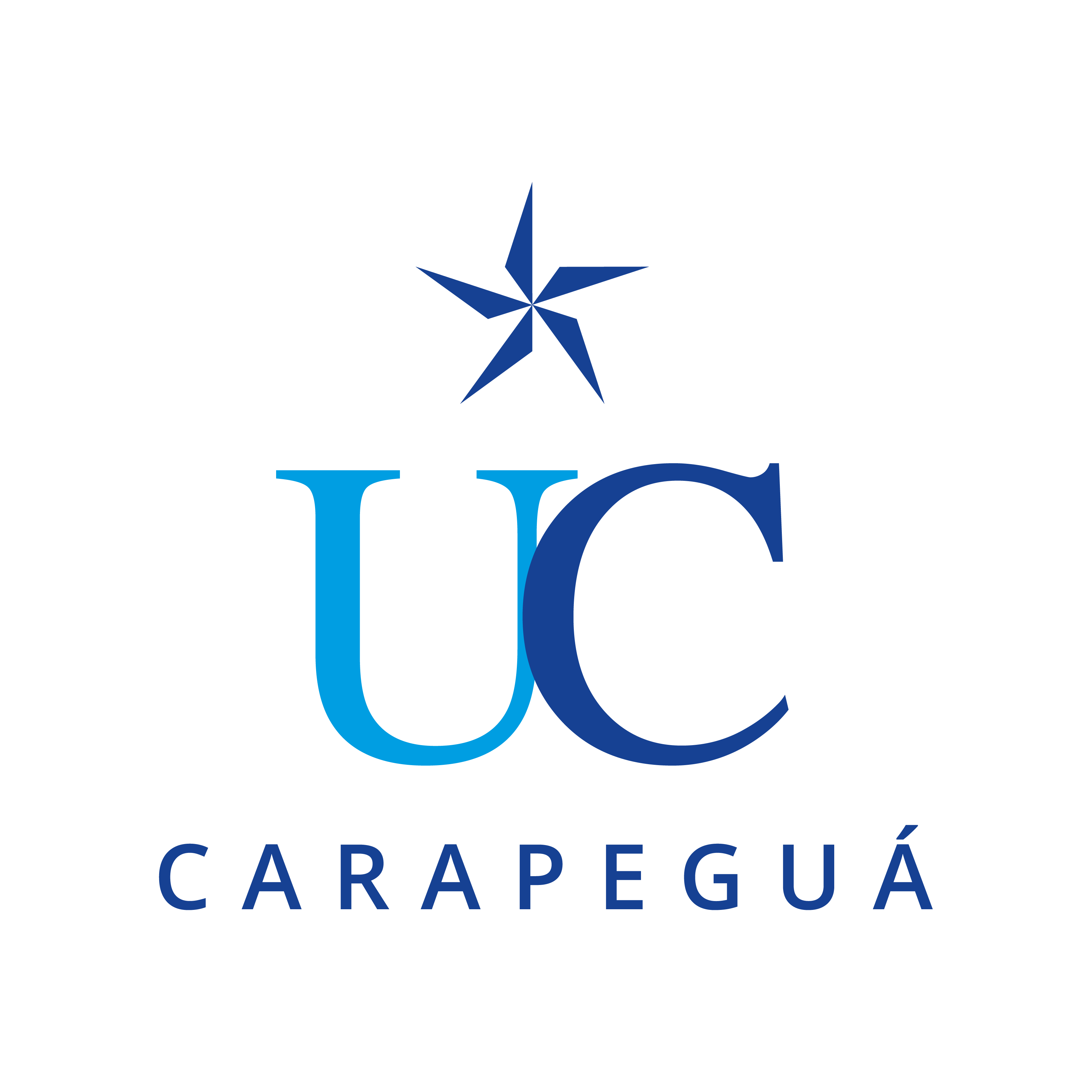 Logo de la Universidad Católica Unidad Pedagógica Carapeguá